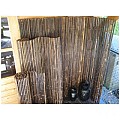 Bamboe rolscherm Black