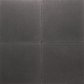 Premiton Plus SE XXS 30x60x4 cm La Palma