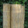 Rietmat Tisza 50X200