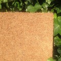 Kokosmat  op rol 100x300