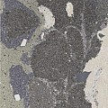 Keramische tegel Lithops 50x100x2 cm - Lipan Stamp