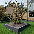 Muurblok 10x10x60 cm Antraciet