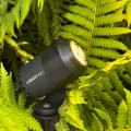 Honeycomp voor Juno