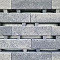 Longstone waterpasserend 7 cm Dione