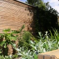 Douglas geschaafd blokhutprofiel 2.8x19.5x224 cm, onbehandeld