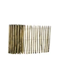 Hazelaarhek 120x500 cm