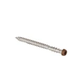 Rvs schroef met gekleurde top voor ntw terrasplanken, set a 100 stuks incl. bit, red cedar.