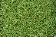 Lijmband  tbv kunstgras 30 cm breed, per m1