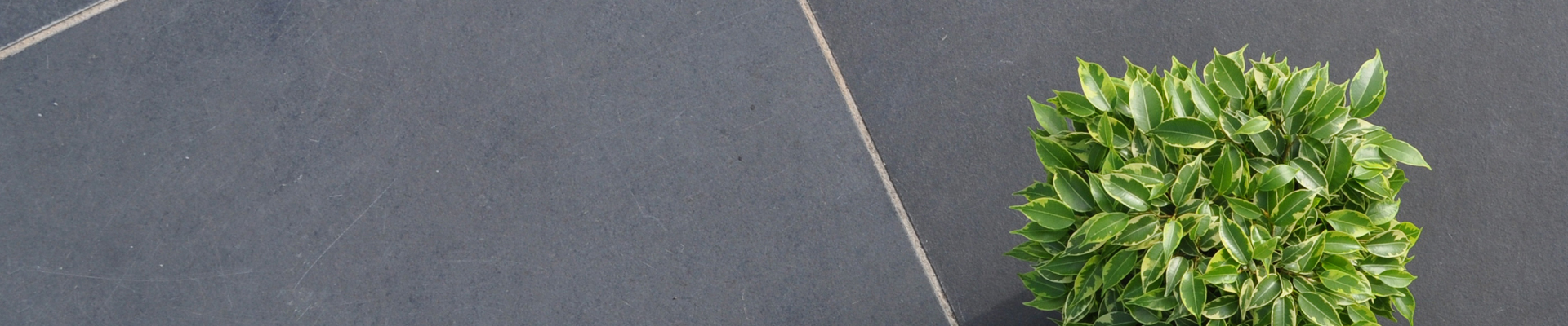 Timmer en van Ark Tuinmaterialen