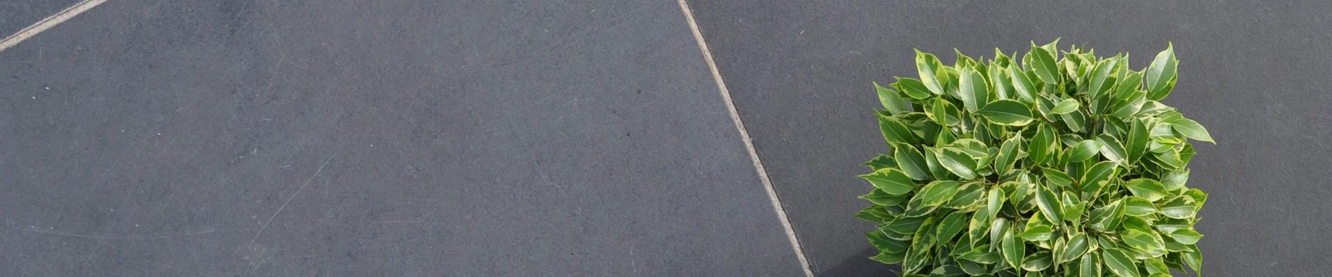 Timmer en van Ark Tuinmaterialen