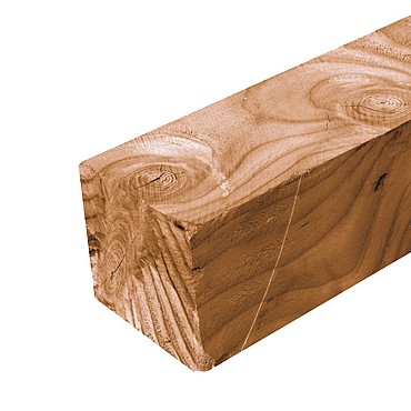 Paal Douglas Ruw 15x15x250 cm, onbehandeld