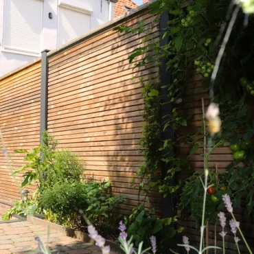 Douglas geschaafd blokhutprofiel 2.8x19.5x224 cm, onbehandeld