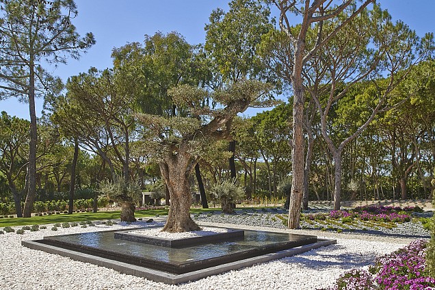 Carrara grind 40-60 mm (20 kg)