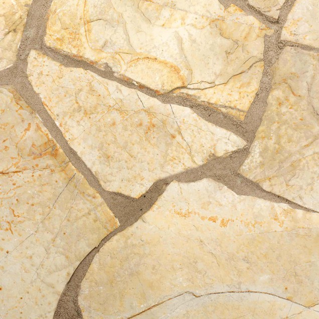 Bourgogne 2-4 cm (beperkt vorstbestendig)