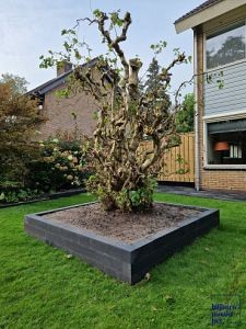 Muurblok 10x10x60 cm Antraciet